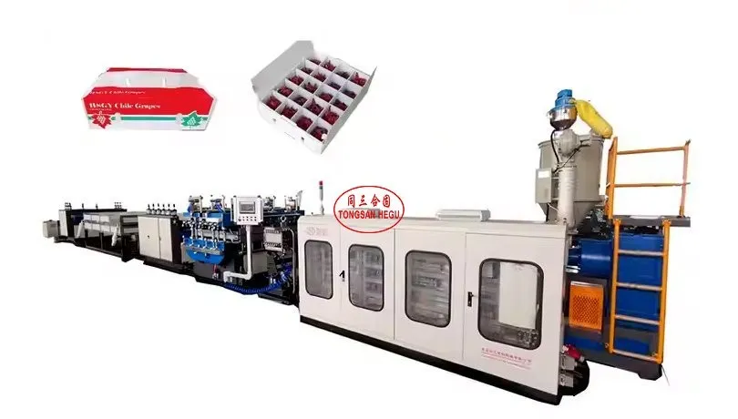 PE Corrugated Box Making Machine manufacturers