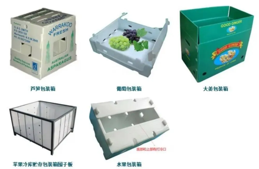 product-1000-651